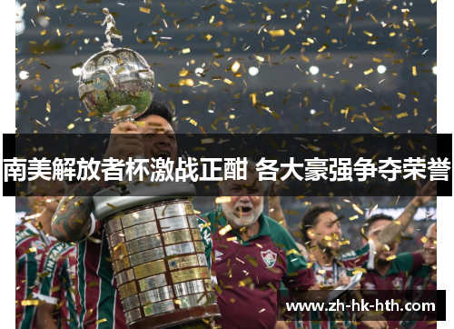 南美解放者杯激战正酣 各大豪强争夺荣誉